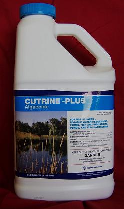 Cutrine Plus Liquid Cutrine1 - HYDRILLA